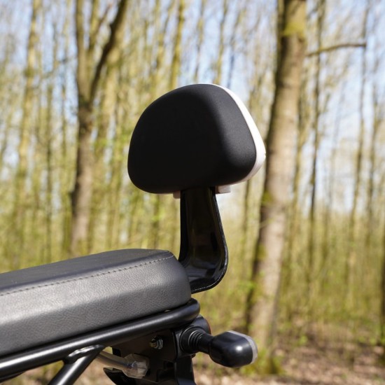 Goccia rugleuning achterpassagier